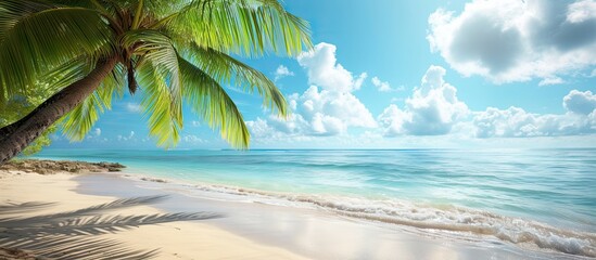 Aufkleber - tropical beach with coconut palm. with copy space image. Place for adding text or design