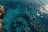 Fototapeta Do akwarium - Aerial View of Clear Blue Sea and Coral Reefs.