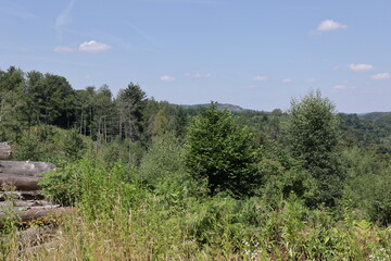 Poster - Blick auf die Naturlandschaft der Stadt Balve im Sauerland	