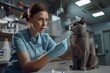 Female Veterinarian Preparing a Vaccine for an Adult Cat in a Veterinary Clinic