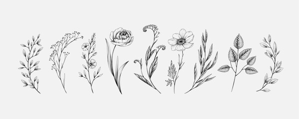 Wall Mural - botanic set of detailed various flowers and brunch. luxury vintage floral collection for wedding inv
