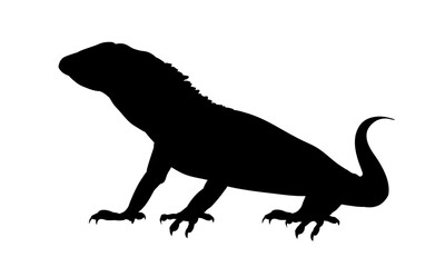 Wall Mural - lizard silhouette - vector illustration