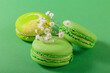 Green monochrom food background with french macaroons and flowers. Close up of macarons cakes. Culinary and cooking concept