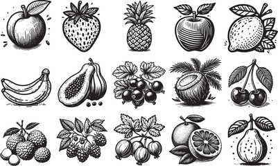 Wall Mural - various fruits collection laser cutting engraving