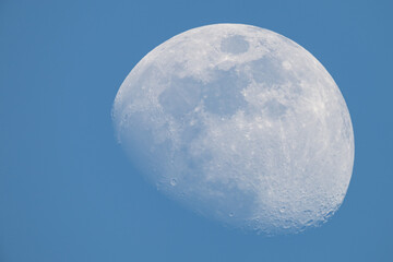 Wall Mural - photograph of the moon in the crescent phase, moon rising with the sky still blue. telescope and cam