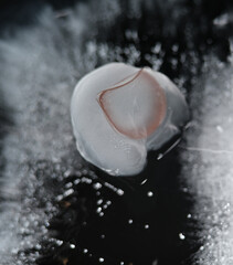 Canvas Print - Close up texture of frozen eye contact lens and saline water solution