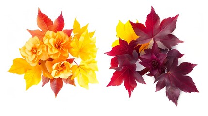 Poster - Set of two creative autumn bouquets of natural maple leaves of yellow orange red burgundy flowers isolated on white background : Generative AI
