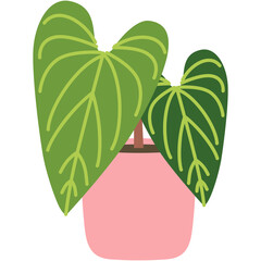 Poster - Anthurium Illustration