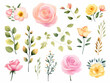 Set element of roses, green leaves, and branch watercolor style on isolated white background