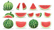 Watermelon icon set line. Whole ripe green stem.