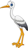 Fototapeta  - Cartoon cute white stork bird on white background
