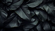 © Rana - Textures of abstract black leaves for tropical leaf background. Flat lay, dark nature concept, tropical leaf