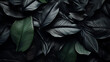 © Rana - Textures of abstract black leaves for tropical leaf background. Flat lay, dark nature concept, tropical leaf