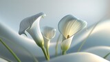 Sculpted Serenity: Calla lilies stand as serene sculptures, their elegant forms exuding a sense of tranquil beauty.