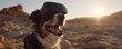Dog exploring Paleolithic era in VR