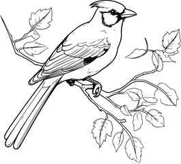 Poster - Bird on a branch. Hand drawn vector illustration in sketch style.