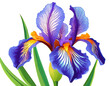 Iris blume isoliert auf weißen Hintergrund, Freisteller 