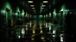 The endless corridors of the hospital, recessed in darkness and silence, like a mysterious maz