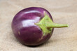 Single eggplant or aubergine or brinjal isolated on background