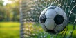 Soccer ball netting goal, moment of triumph, sports achievement, sunlight flare