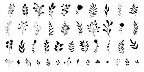 minimal feminine botanical floral branch in silhouette style.