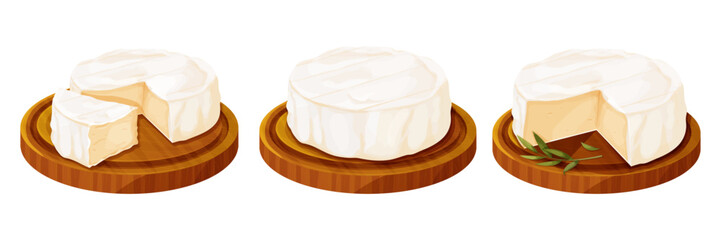 Set Camembert cheese, brie french soft creamy food on wooden tray with rosemary isolated on white background. 