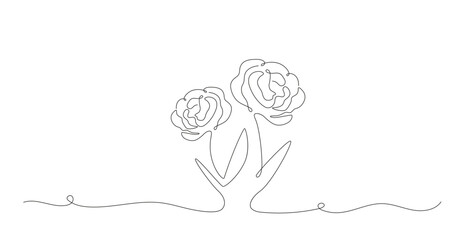 Two roses in continuous line art