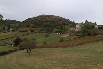 Canvas Print - landscape of region burgundy in France 