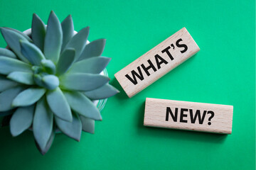 What is new symbol. Concept word What is new on wooden blocks. Beautiful green background with succulent plant. Business and What is new concept. Copy space