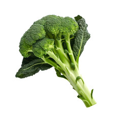 Wall Mural - Broccoli isolated on transparent background