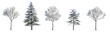 Set of winter picea pungens colorado spruce and street medium winter various trees with snow pinaceae needled tree isolated png on a transparent background perfectly cutout
