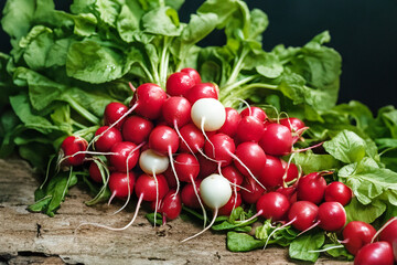 Wall Mural - Freshly Harvested Radish