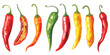 Vector illustration set of various chili peppers on white background.