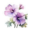 Watercolor hand drawn painting of a malva flower (purple flower) with green leaves on a white background. vector format