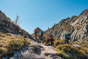 Wall Mural - Group of hiker hiking on rocky hill on summit trail amidst the French alps at Chamonix Mont blanc, France