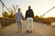 © Studio Romantic - Two elderly people enjoying leisurely stroll in summer. Back view loving senior couple. View from behind fit healthy old man and woman in sportswear standing on bridge and holding hands