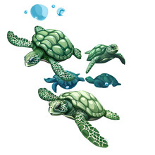 A Logo Illustration Of Turtles In Clear Blue Water.