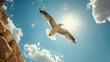 Sea gull in flight.