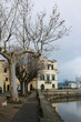 Lago di Bolsena nel borgo di Marta con alberi spogli e cane
