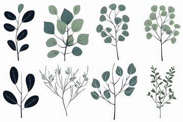 Poster - Collection of different types of leaves, suitable for various design projects