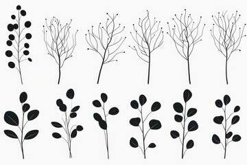 Poster - Black and white leaves and branches, suitable for various design projects