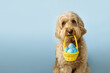 Cute dog carrying an Easter basket