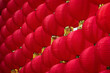 Chinese red lanterns. Red lantern decoration for Chinese New Year Festival at Chinese shrine. Ancient Chinese art, fortune blessing compliment. 