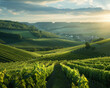 Capture the essence of the champagne region in a unique and artistic way