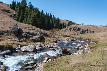 Wall Mural - landscape in the mountains