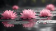  a group of pink water lilies floating on top of a body of water with drops of water on the bottom of the water and on top of the petals.
