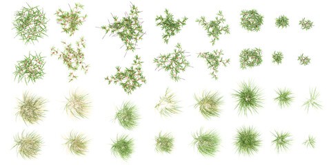 Poster - Collection of grass and bush with alpha mask, 3d rendering, for digital composition and architecture visualization from top view