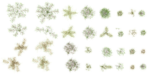 Poster - set of grass and bush with alpha mask, 3d rendering, for digital composition and architecture Visualization.
