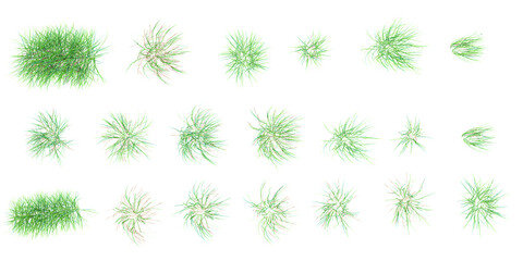 Poster - Top view of grass with flowers isolated on white background, 3d rendered