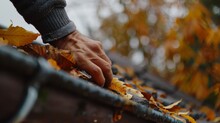 A Person In The Crisp Autumn Air, Their Hand Gently Collecting Fallen Leaves Beneath A Vibrant Tree